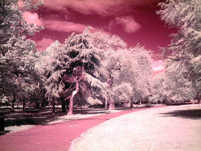 Potternewton Park in infrared